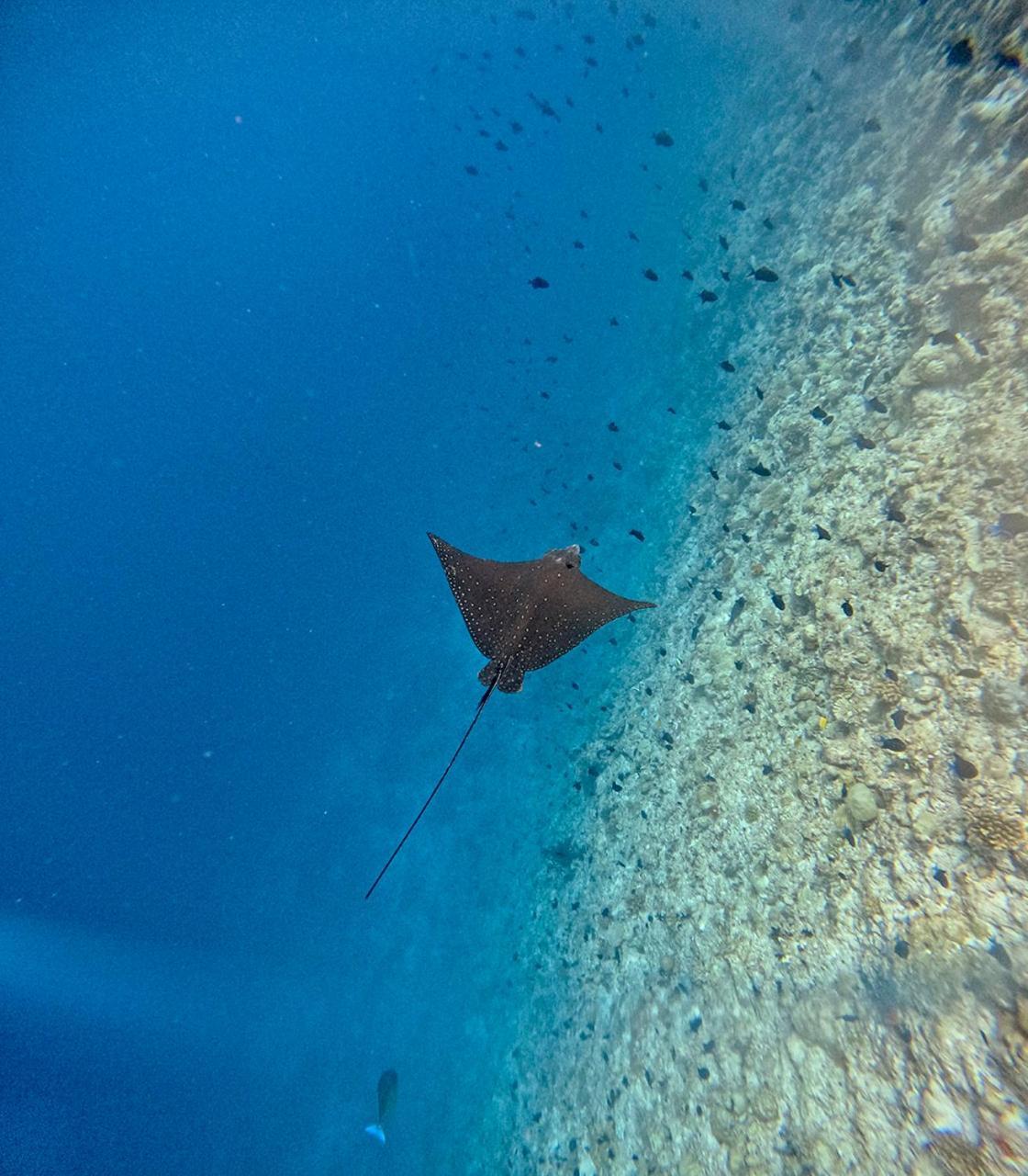 Hotel Nihaali Maldives Kudarikilu Zewnętrze zdjęcie